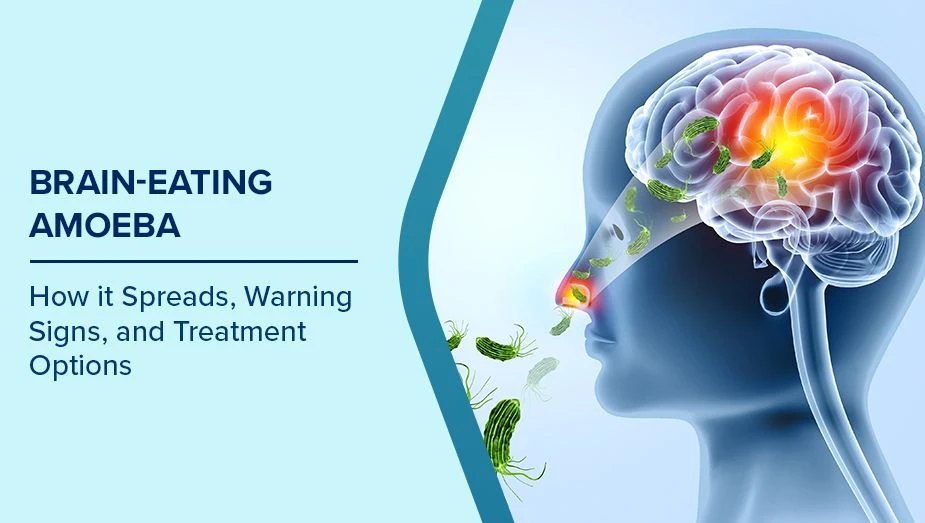  Brain-Eating Amoeba: How it Spreads, Warning Signs, and Treatment Options